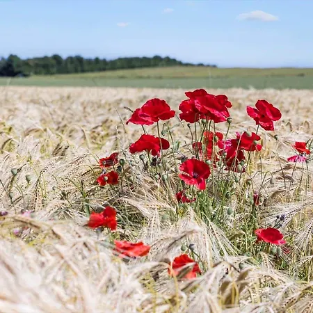 Prázdninový dům 8510-grenaa-fridavej-62