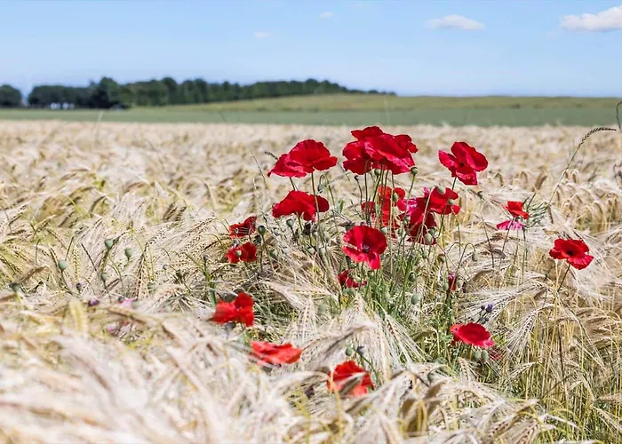 Сasa de vacaciones 8510-grenaa-fridavej-62